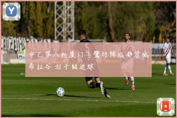 中乙第八轮厦门飞鹭对阵成都蓉城希拉谷 刘子铭进球
