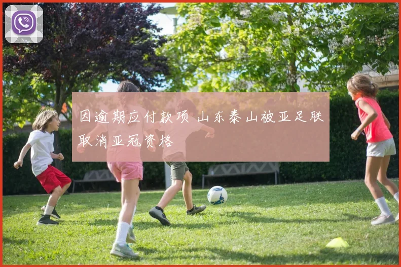 因逾期应付款项 山东泰山被亚足联取消亚冠资格