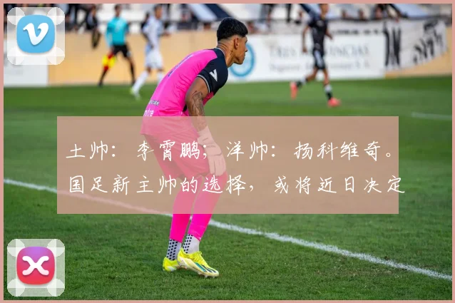 土帅：李霄鹏；洋帅：扬科维奇。国足新主帅的选择，或将近日决定