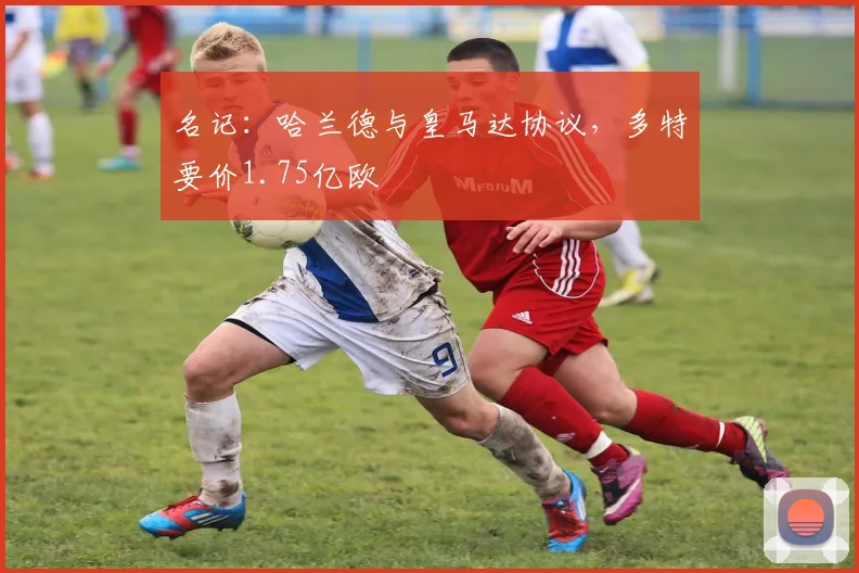 名记：哈兰德与皇马达协议，多特要价1.75亿欧