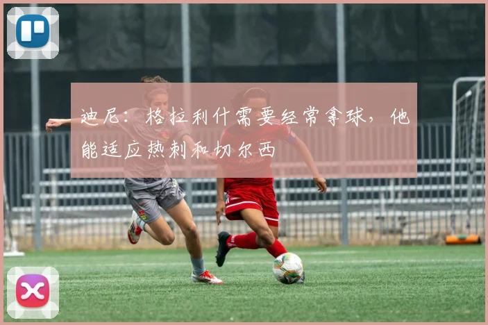 迪尼：格拉利什需要经常拿球，他能适应热刺和切尔西