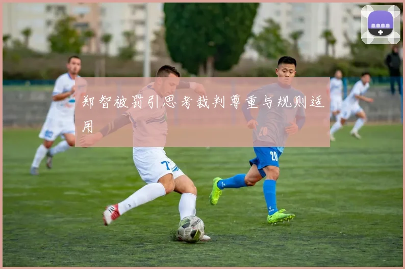郑智被罚引思考裁判尊重与规则适用